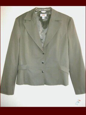 NWT Talbots blazer 18 $178 Sage green Brown Snaps Light Fitted Classic Career